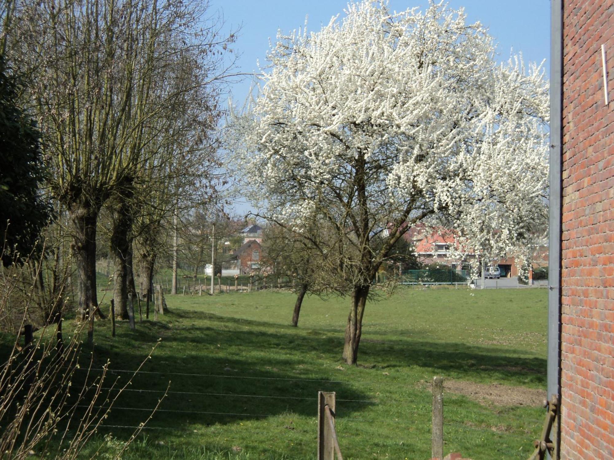 B&B Molen Ter Walle Geraardsbergen Luaran gambar